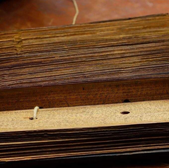 Naadi Astrology Palm Leaves